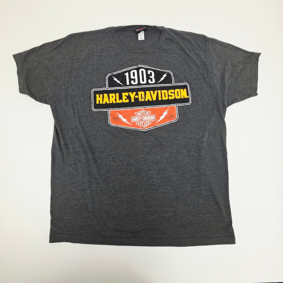 HarleyDavidson Lexington Ky Graphic TShirt Gray Mens Xl